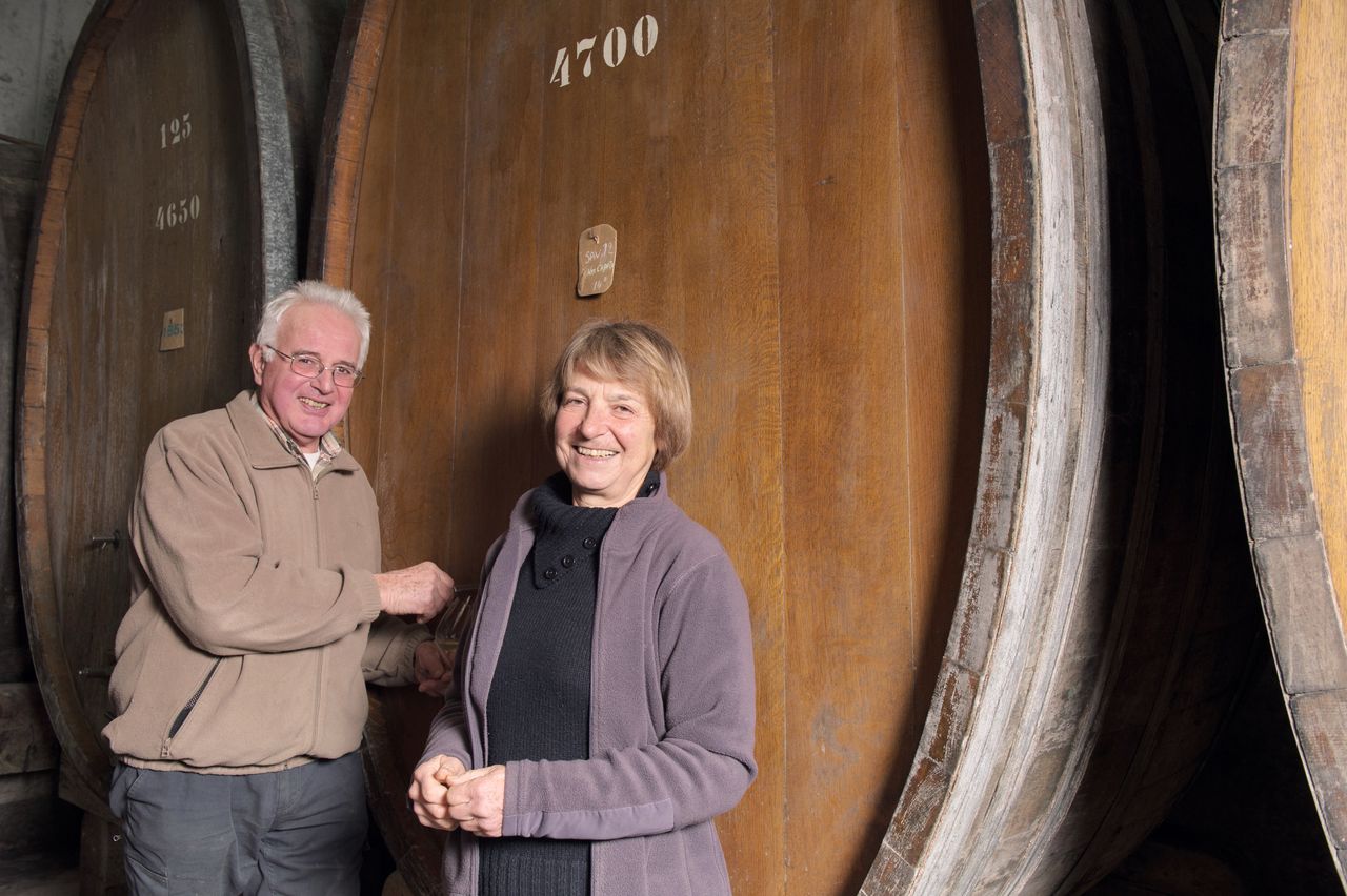 Vins Vigneron Luc et Sylvie BOILLEY – FREMIOT BoilleyFremiot-0007